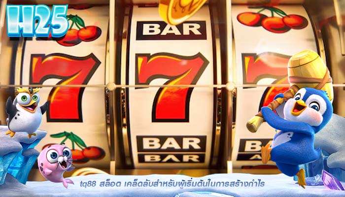 tq88 สล็อต เคล็ดลับสำหรับผู้เริ่มต้นในการสร้างกำไร